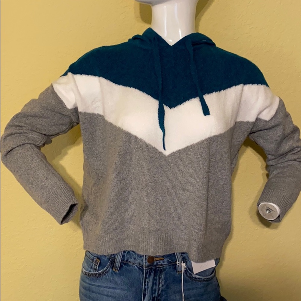 🚚 NWT Hippie Rose Hooded Crop Sweater Large